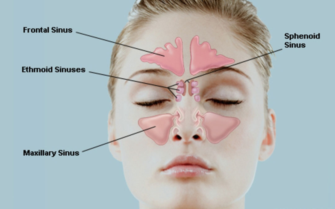 sinus problems explain